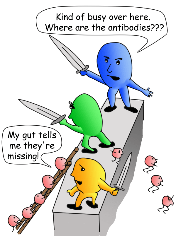 Defective immune system response causes increased frequency of infections in people with fibromyalgia.