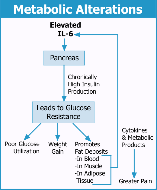 Diagram showing changes in metabolism that cause weight gain in fibromyalgia patients.
