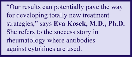 Quote by Eva Kosek, M.D., Ph.D., stating that the results of her study can potentially pave the way for new treatments targeting cytokines that are passing through a leaky BBB.