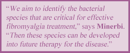 Researcher quote on identifying bacterial species for treating gut microbiota in fibromyalgia patients.