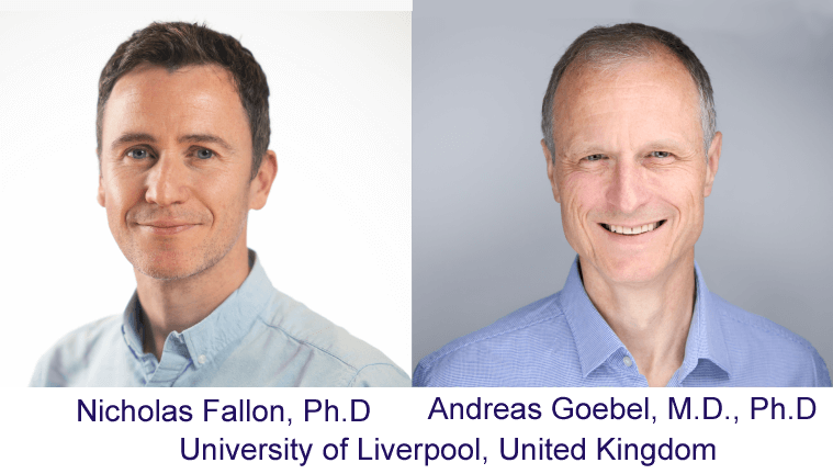 Photos of Nicholas Fallon, Ph.D. and Andreas Goebel, M.D., Ph.D. of the University of Liverpool in the United Kingdom, who are funded by AFSA to look at what causes fibromyalgia flare episodes.