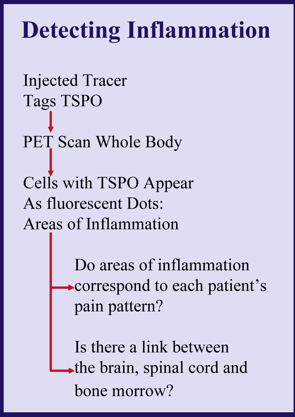 Flow diagram showing how Dr. Loggia is going to use whole-body PET and TSPO to detect signs of inflammation.