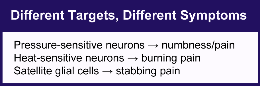 Different neuron or glial cell targets may be linked to different symptoms of fibromyalgia.