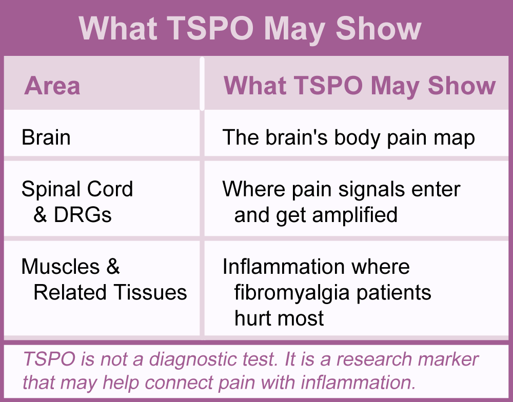 Table shows which fibromyalgia pain areas can be revealed by the TSPO pain marker.